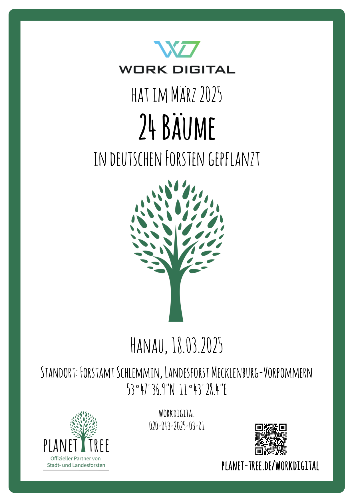 Baum Zertifikat 2
